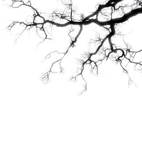 Background top image